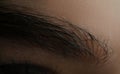 Female eyebrow dyed with black henna closeup