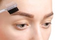 Female eyebrow shape brown eyebrow brush