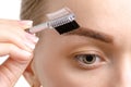 Female eyebrow shape brown eyebrow brush