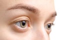 Female eyebrows brown eye look shape Royalty Free Stock Photo