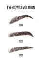 Female eyebrows evolution. Sable style brows shapes. Linear vector Illustration in trendy minimalist style. Brow bar