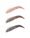Female eyebrows in various colors. Blonde, brown and dark hair. Arch brows shapes. Linear vector Illustration in trendy