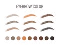 Female eyebrows in various colors. Blonde, red and dark hair. Arch brows shapes. Linear vector Illustration in trendy