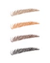 Female eyebrows in various colors. Blonde, red and dark hair. Sable style brows shapes. Linear vector Illustration in