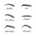 Female eyebrows. Various forms and types. Arch brows shapes. Linear vector Illustration in trendy minimalist style. Brow