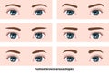 Female eyebrows various shapes vector illustration