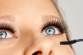 Female eyes with long eyelashes and brush of mascara. Make-up and cosmetics concept