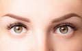 Female eyes with long eyelashes. Classic 1D, 2D eyelash extensions and light brown eyebrow close up. Eyelash extensions,