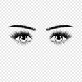 Female eyes silhouette with eyelashes and eyebrows. Vector illustration isolated on transparent background Royalty Free Stock Photo