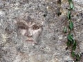 Female face embedded in wall. Mental well being concept,metaphor.