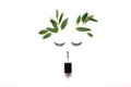 Female face made of false eyelashes and eucalyptus leaves  on white background Royalty Free Stock Photo