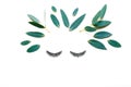 Female face made of false eyelashes and eucalyptus leaves  on white background Royalty Free Stock Photo