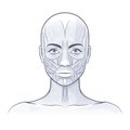 Female facial muscles detailed bright anatomy vector illustration Royalty Free Stock Photo