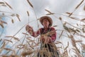 Female farm worker agronomist examining ripe barley crops