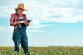 Female farmer agronomist using digital tablet computer in young green corn field Royalty Free Stock Photo