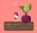 Female Farmer Character in Working Robe Pour Out Poisonous Fertilizer into Soil with Huge Beetroot Growing in Toxic Land