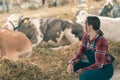 Female farmer on cow dairy farm Royalty Free Stock Photo