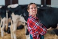 Female farmer in cow shed on a dairy livestock farm Royalty Free Stock Photo