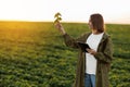 Female farmer with digital tablet holds soya plant, examines and checkins at field. Agronomist controls the growth and