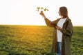 Female farmer with digital tablet holds soya plant, examines and checkins at field. Agronomist controls the growth and