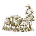 Female farmer feeds the sheep. sketch on a white background. animal husbandry