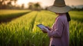 Female farmer hand using tablet in rice field with to keep digital tax record. generative ai