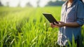 Female farmer hand using tablet in rice field with to keep digital tax record. generative ai