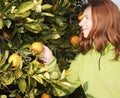 female farmer harvest picking fruits Royalty Free Stock Photo