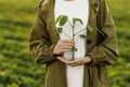 Female farmer holds in hands soybean plant with health leaves and roots at soya field. Agronomist controls growth and Royalty Free Stock Photo