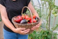 A female farmer holds a wicker basket with a harvest of organic vegetables in her hands. Close up