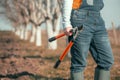 Female farmer posing with telescopic ratchet bypass lopper in walnut orchard ready for pruning Royalty Free Stock Photo