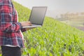 Female farmer recording the growth of corn in corn fields. . Royalty Free Stock Photo