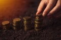 Female farmer stacking coins, making money in agriculture