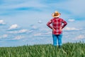 Female farmer standing in green wheat field with hands on her hips, rear view Royalty Free Stock Photo