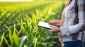 A female farmer uses a tablet in a corn field to collect tax records. Generative AI