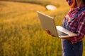 Female farmer using laptop computer in gold wheat crop field, concept of modern smart farming by using electronics