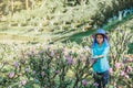 Female farmer workers are working in the apricot tree garden, Beautiful pink apricot flowers