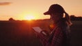 A female farmer is working in the field at sunset, enjoying a tablet. Technologies in agrobusiness Royalty Free Stock Photo