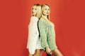 Female fashion, beauty and advertisement concept. women twins with blond, long hair and sweaters