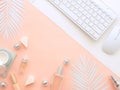 Female fashion beauty blogger home office workspace Royalty Free Stock Photo