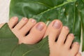 Female feet with beige glitter nail design. Nude nail polish pedicure and greel leaves on background Royalty Free Stock Photo