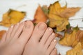 Female feet with beige nail polish. Woman legs with autumn nail design on wooden background with fallen leaves Royalty Free Stock Photo