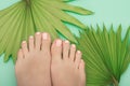 Female feet with pink nail design. Glitter pink nail polish pedicure with green tropic leaves on light green background