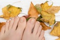 Female feet with gold nail polish. Woman legs with beige nail design on wooden background with fallen leaves Royalty Free Stock Photo