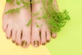 Female feet with golden nail design. Gold nail polish pedicure on yellow green background Royalty Free Stock Photo