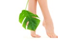 Female feet with green leaf Royalty Free Stock Photo