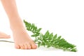 Female feet with green leaf Royalty Free Stock Photo