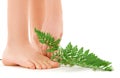 Female feet with green leaf Royalty Free Stock Photo