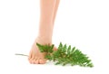 Female feet with green leaf Royalty Free Stock Photo