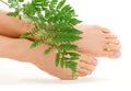 Female feet with green leaf Royalty Free Stock Photo
